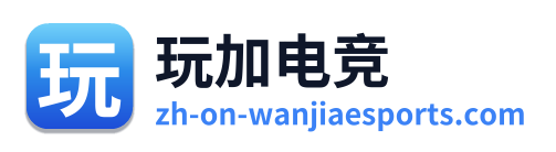 玩加电竞 Logo